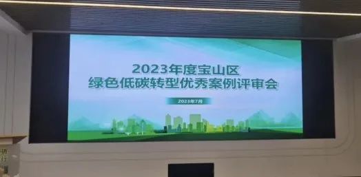 电子纸上榜 | 2023年宝山区首批十佳绿色低碳转型优秀案例新鲜出炉